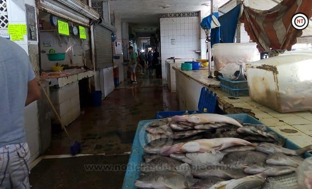 Comerciantes de pescados y mariscos hacen su «agosto» – NT | Noticias de  Tampico Tamaulipas