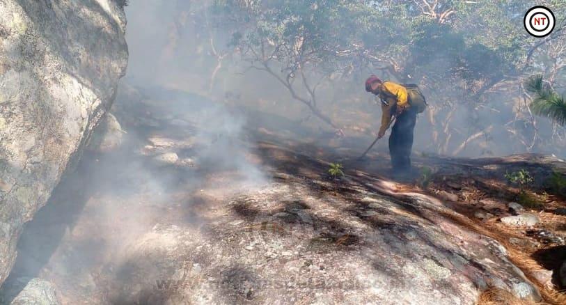 Protección Civil Tamaulipas y CONAFOR extinguen incendio forestal en ...