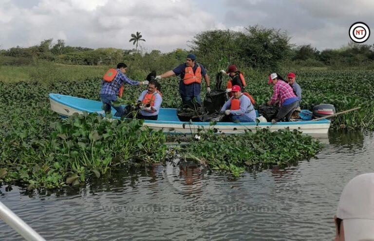 10 lagunas de la zona sur de Tamaulipas infestadas de Lirio, harán limpieza de la flora