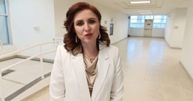 Diputada del PAN critica sondeo de Morena sobre el poder judicial