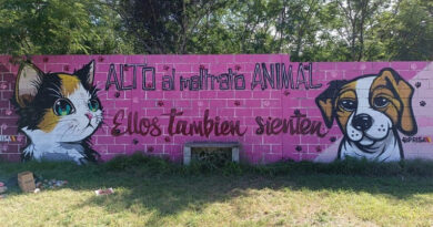 Con Murales Busca Gobierno de Altamira Crear Conciencia Sobre el Maltrato Animal