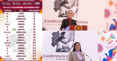 Inicia Bienestar pago de pensiones y programas del bimestre noviembre-diciembre: Ariadna Montiel.