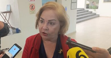 Presiona EU a México en tema de seguridad, dice diputada del PRI