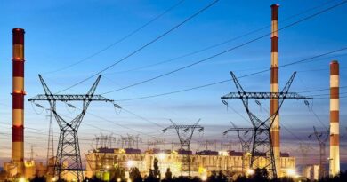 Impulsar colaboración entre IP y gobierno fortalecerá infraestructura energética: expertos