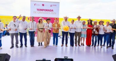 Respalda Gobierno de Tamaulipas promoción de campos de girasoles