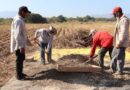 Analizan la fertilidad de suelos agrícolas de Tamaulipas