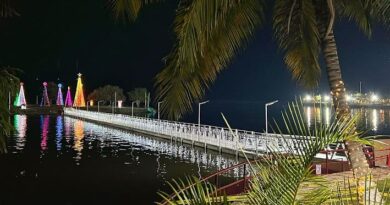 «HABEMUS PUENTE FLOTANTE NAVIDEÑO»