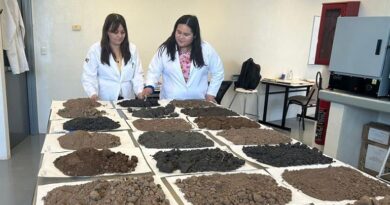 Analiza estudiante de la UAT la presencia de metales pesados en suelos de cultivo citrícola