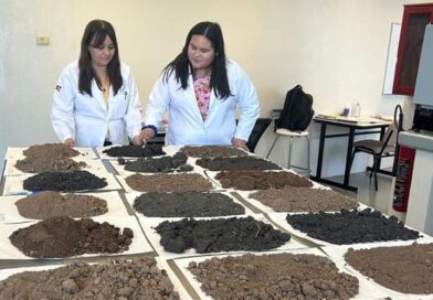 Analiza estudiante de la UAT la presencia de metales pesados en suelos de cultivo citrícola